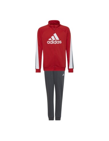 ADIDAS-B BOS COT TS ROJINT/NEGRO/GRISEI