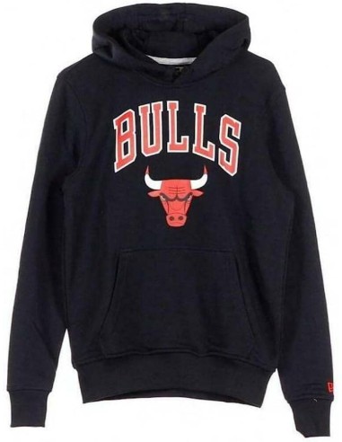 TEAM LOGO PO HOODY