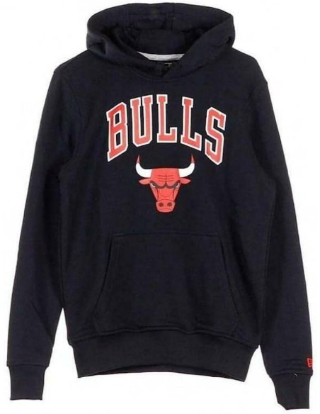 TEAM LOGO PO HOODY