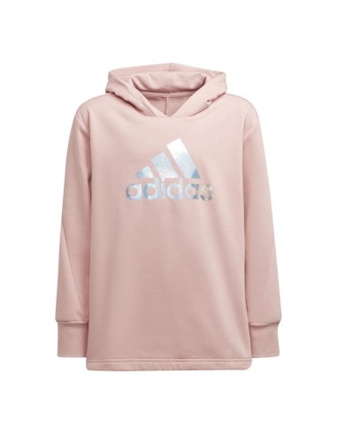 ADIDAS G M Hoodie