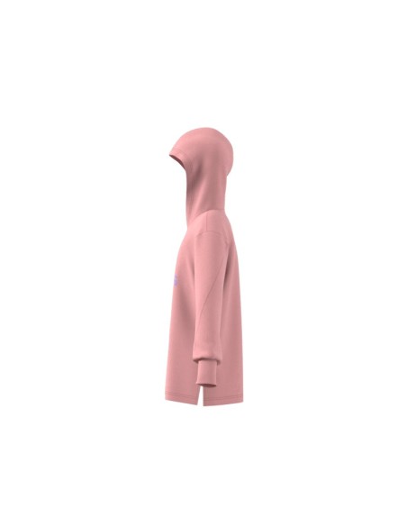 ADIDAS G M Hoodie
