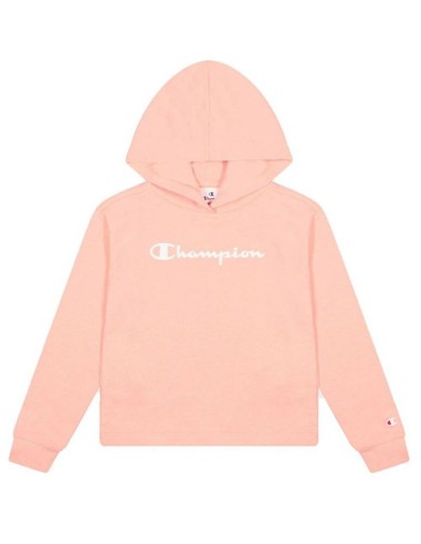 CHAMPION Hooded Sweatshirt GRIS-NEGRO
