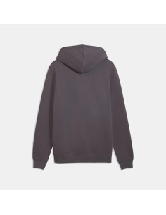 Sudadera Gris PUMA ESS 2 COLOR Small No. 1 Logo Hoodie FL 2