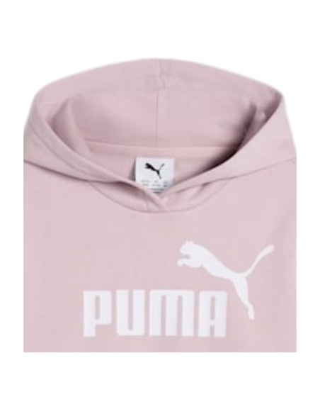 Sudadera Rosa PUMA SUDADERA LOGO HOODIE FL G
