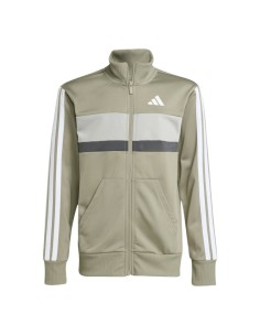Chandal verde Adidas verde JR 2