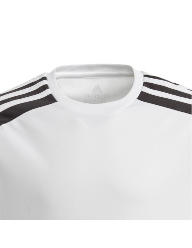 ADIDAS-Camise-SQUAD 21 JSY Y
