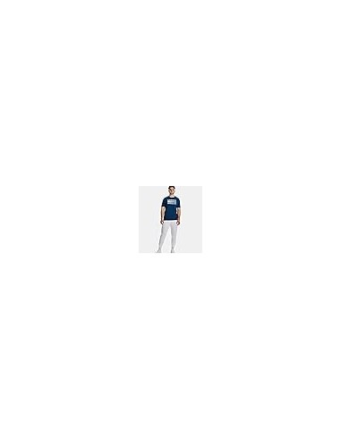 UNDER ARMOUR CAMISETA TEAM