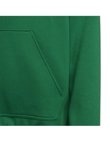 ADIDAS ENT22 HOODY Y