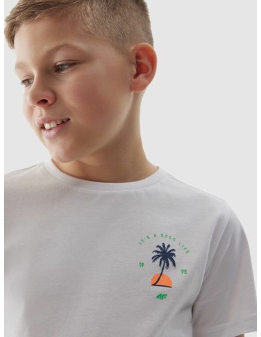 Camiseta manga corta 4F TSHIRT M1130-NIÑO-10S-BLANCO