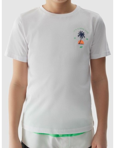 Camiseta manga corta 4F TSHIRT M1130-NIÑO-10S-BLANCO