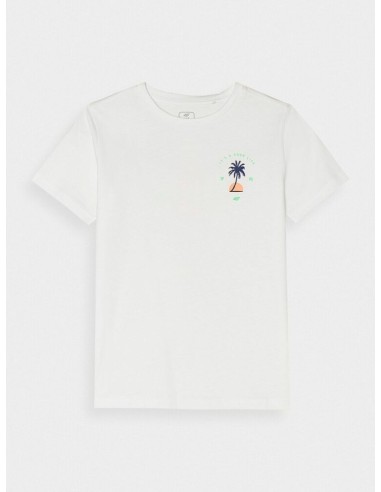 Camiseta manga corta 4F TSHIRT M1130-NIÑO-10S-BLANCO