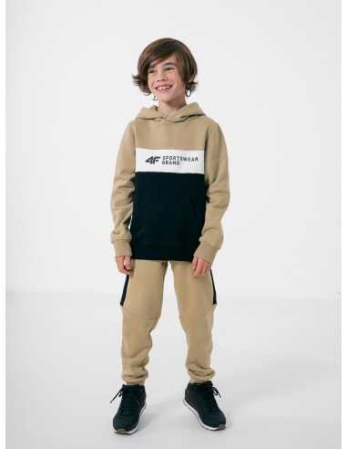 4F-BOYS SWEATSHIRT JBLM003