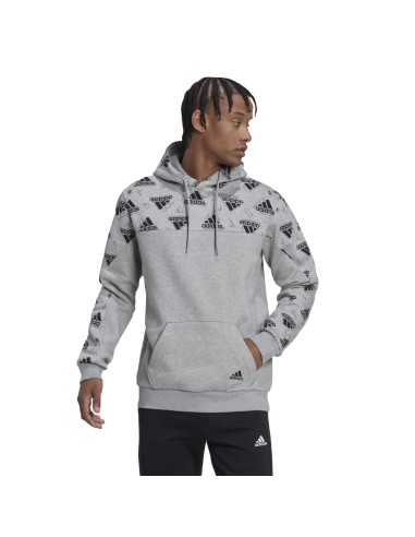 ADIDAS-M FL GFX Hoodie BRGRIN