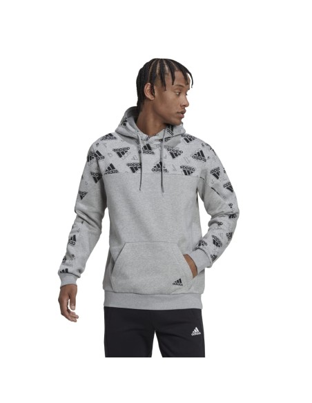 ADIDAS-M FL GFX Hoodie BRGRIN
