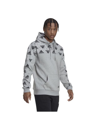 ADIDAS-M FL GFX Hoodie BRGRIN