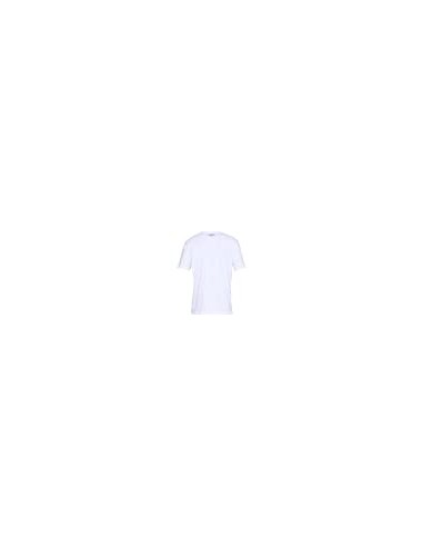 CAMISETA TEAM ISSUE WORDMARK
