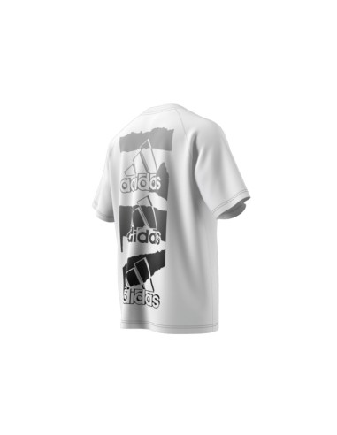 ADIDAS M BL Q2 T