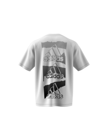 ADIDAS M BL Q2 T