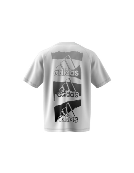 ADIDAS M BL Q2 T