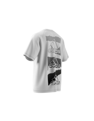 ADIDAS M BL Q2 T