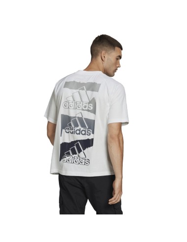 ADIDAS M BL Q2 T