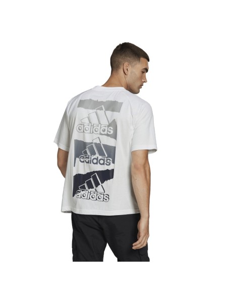 ADIDAS M BL Q2 T