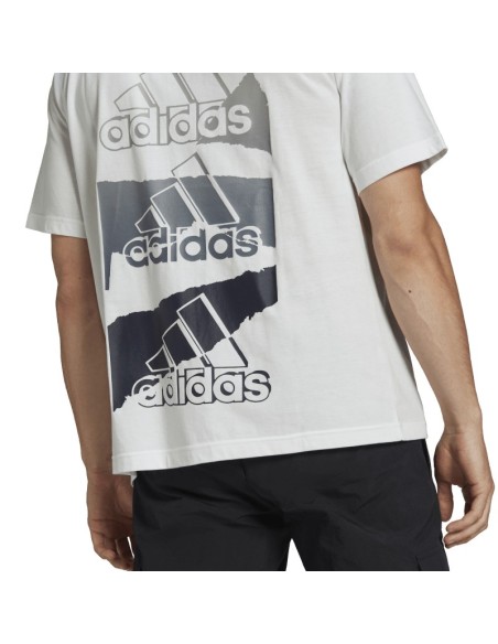 ADIDAS M BL Q2 T
