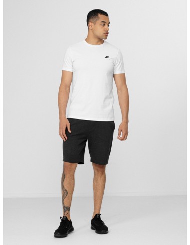 4F-MENS T-SHIRT TSM352